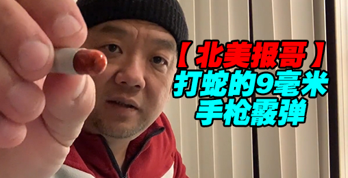 【北美报哥】能打蛇的9毫米手枪霰弹